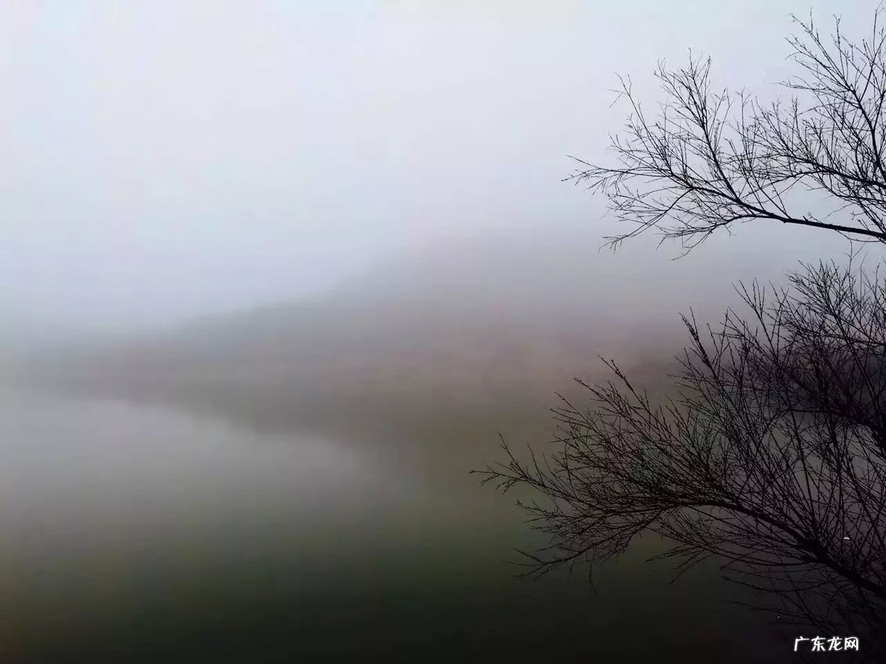 为什么房子里面有镇宅石 彩溪石可以做风水镇宅的吗