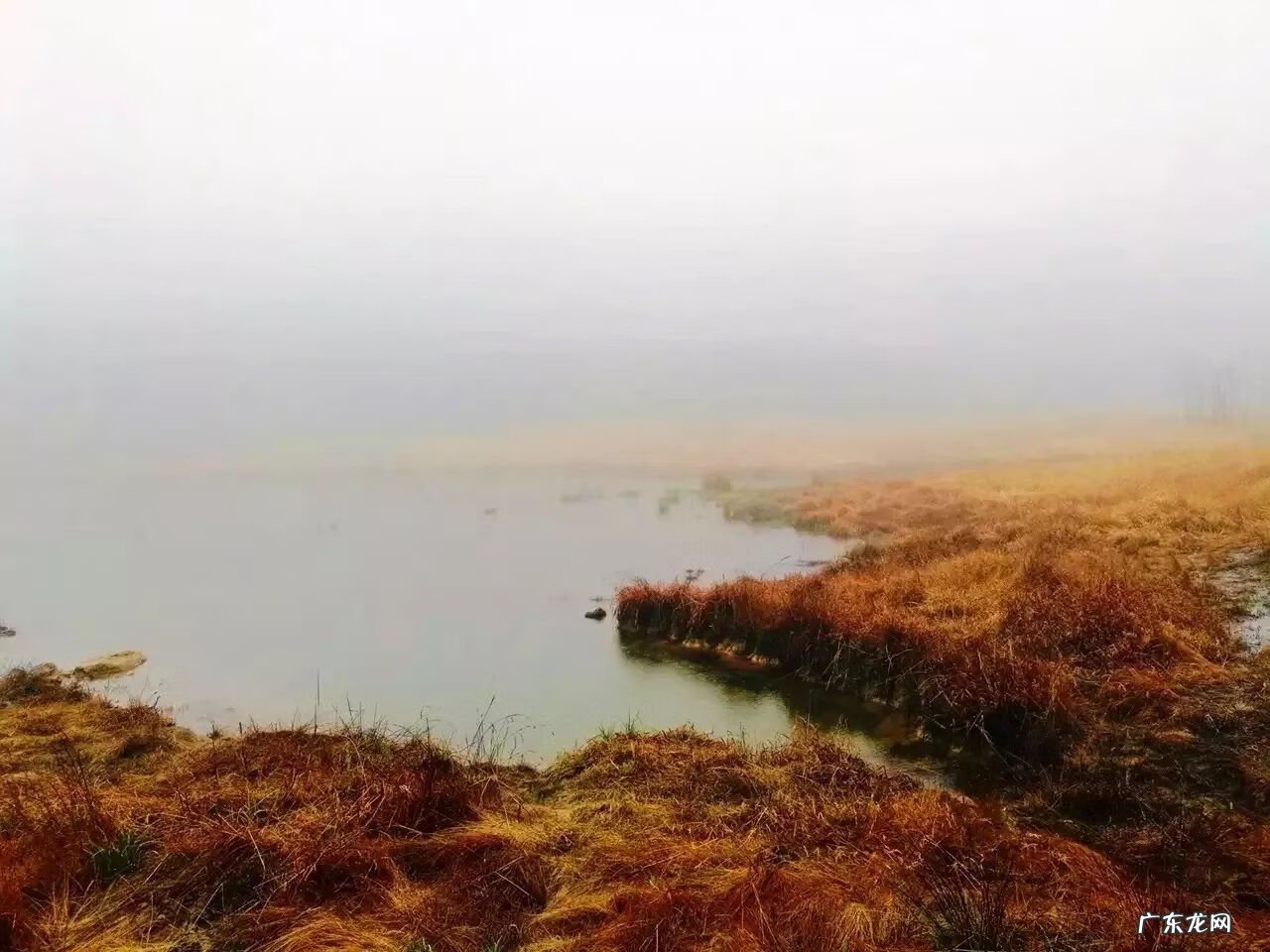 为什么房子里面有镇宅石 彩溪石可以做风水镇宅的吗