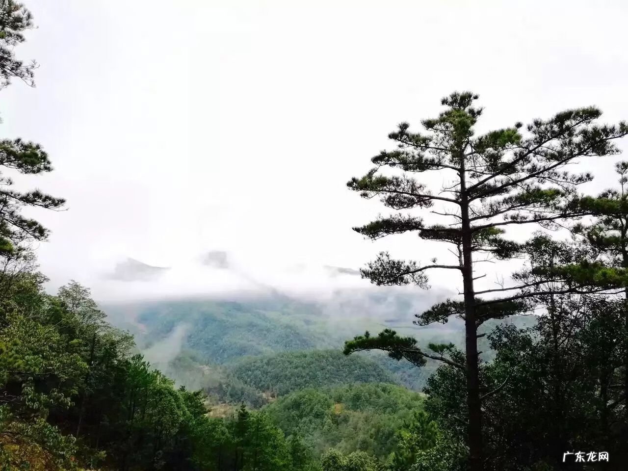 为什么房子里面有镇宅石 彩溪石可以做风水镇宅的吗