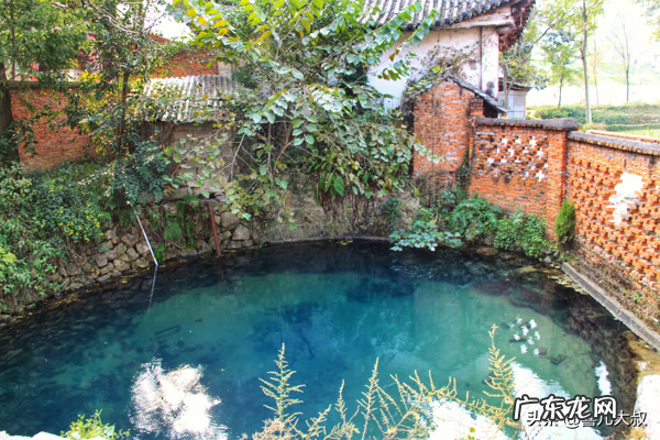 金泉水 金泉风水大师