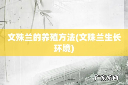 文殊兰生长环境 文殊兰的养殖方法