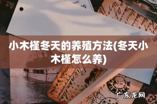 冬天小木槿怎么养 小木槿冬天的养殖方法