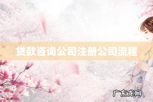 贷款咨询公司注册公司流程