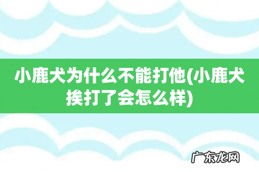 小鹿犬挨打了会怎么样 小鹿犬为什么不能打他