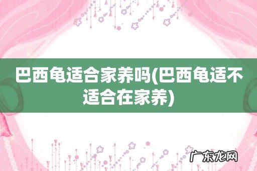 巴西龟适不适合在家养 巴西龟适合家养吗