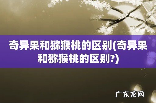 奇异果和猕猴桃的区别? 奇异果和猕猴桃的区别