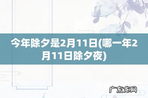 哪一年2月11日除夕夜 今年除夕是2月11日