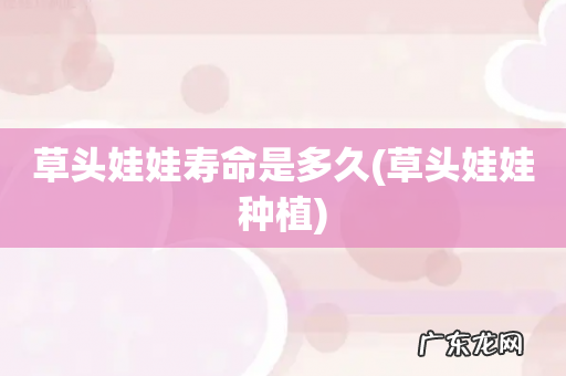 草头娃娃种植 草头娃娃寿命是多久