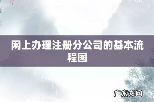 网上办理注册分公司的基本流程图