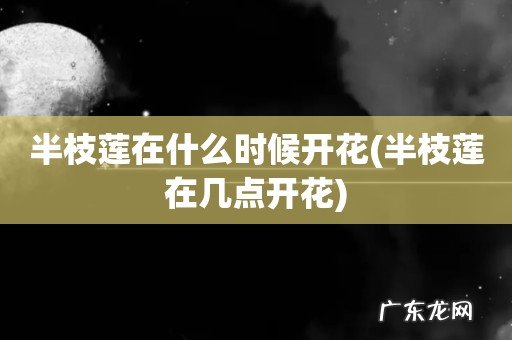 半枝莲在几点开花 半枝莲在什么时候开花