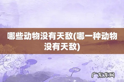 哪一种动物没有天敌 哪些动物没有天敌