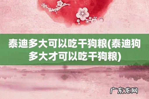 泰迪狗多大才可以吃干狗粮 泰迪多大可以吃干狗粮