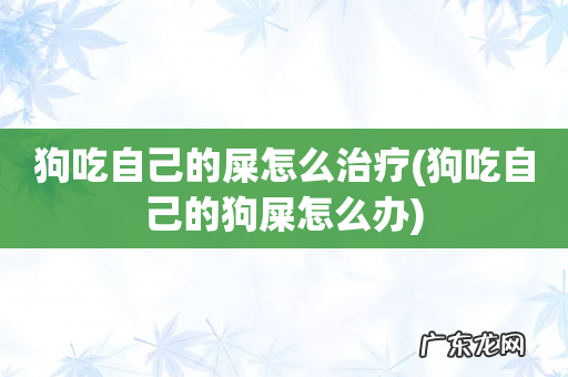狗吃自己的狗屎怎么办 狗吃自己的屎怎么治疗