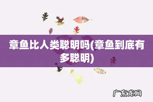 章鱼到底有多聪明 章鱼比人类聪明吗