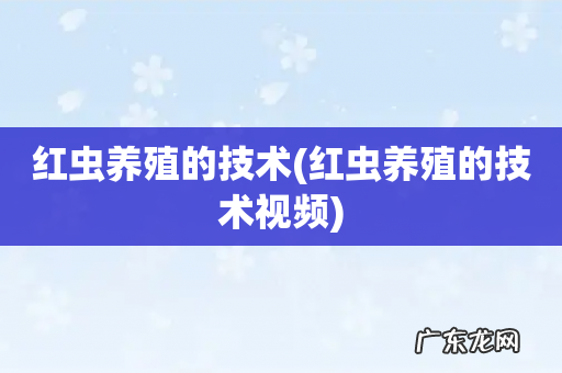 红虫养殖的技术视频 红虫养殖的技术