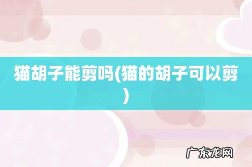 猫的胡子可以剪 猫胡子能剪吗