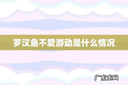 罗汉鱼不爱游动是什么情况