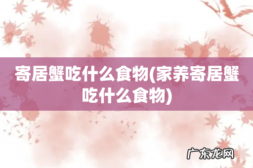 家养寄居蟹吃什么食物 寄居蟹吃什么食物