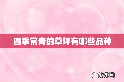 四季常青的草坪有哪些品种