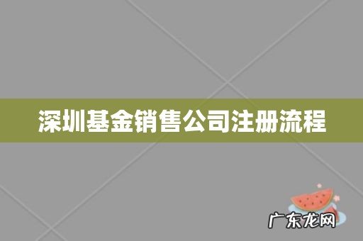 深圳基金销售公司注册流程