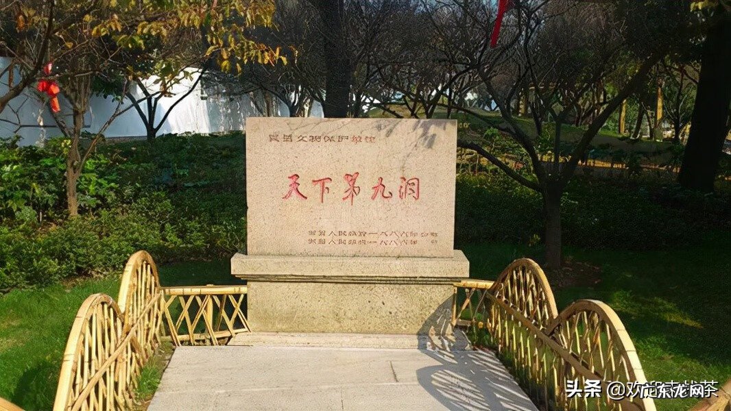 碧螺春茶叶特点 碧螺春茶叶