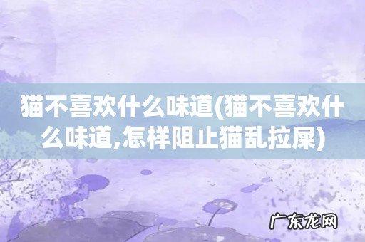 猫不喜欢什么味道,怎样阻止猫乱拉屎 猫不喜欢什么味道