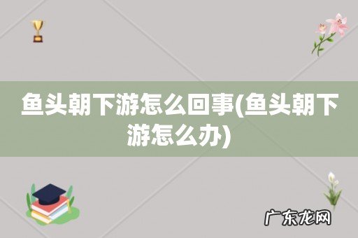 鱼头朝下游怎么办 鱼头朝下游怎么回事