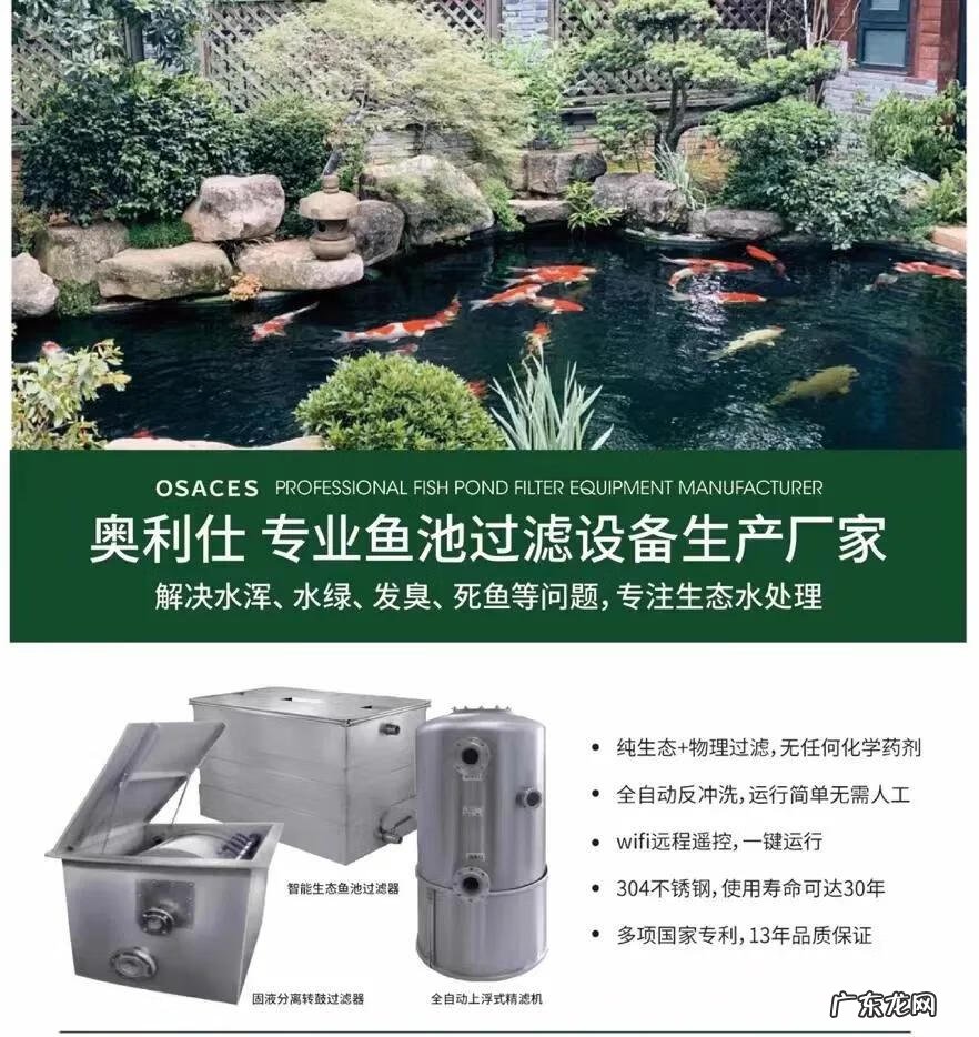 西南方有鱼池假山好吗 五十平米小院鱼池靠南风水好不好