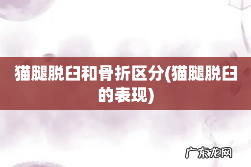 猫腿脱臼的表现 猫腿脱臼和骨折区分