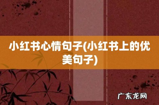 小红书上的优美句子 小红书心情句子