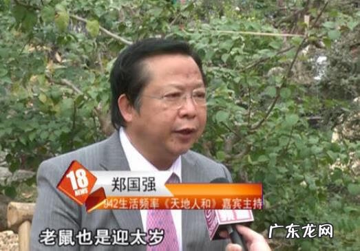 河中小岛风水好不好 河中间的小岛风水好吗