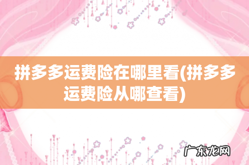 拼多多运费险从哪查看 拼多多运费险在哪里看