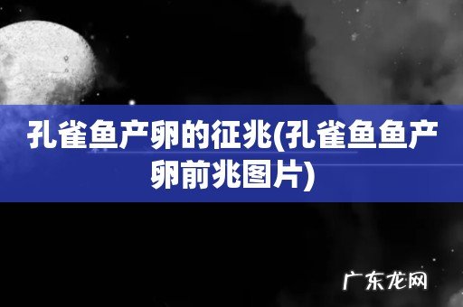 孔雀鱼鱼产卵前兆图片 孔雀鱼产卵的征兆