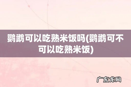 鹦鹉可不可以吃熟米饭 鹦鹉可以吃熟米饭吗