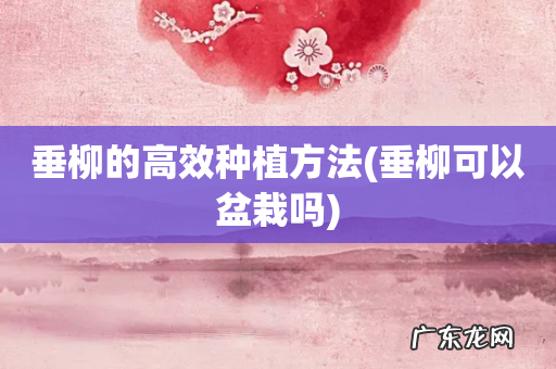 垂柳可以盆栽吗 垂柳的高效种植方法