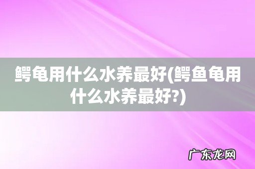 鳄鱼龟用什么水养最好? 鳄龟用什么水养最好