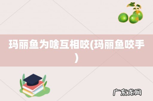 玛丽鱼咬手 玛丽鱼为啥互相咬