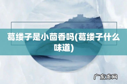 葛缕子什么味道 葛缕子是小茴香吗