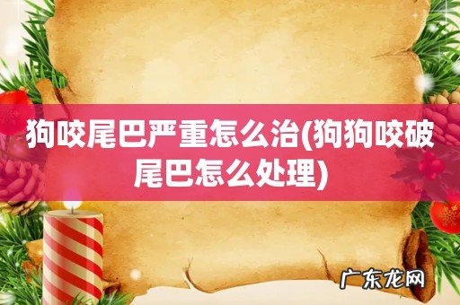 狗狗咬破尾巴怎么处理 狗咬尾巴严重怎么治