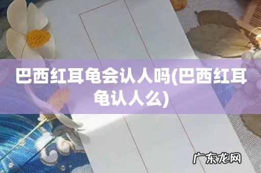 巴西红耳龟认人么 巴西红耳龟会认人吗