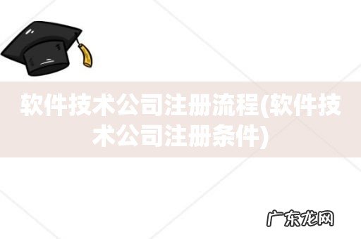 软件技术公司注册条件 软件技术公司注册流程