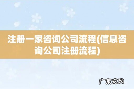 信息咨询公司注册流程 注册一家咨询公司流程