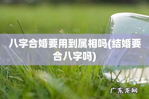 结婚要合八字吗 八字合婚要用到属相吗