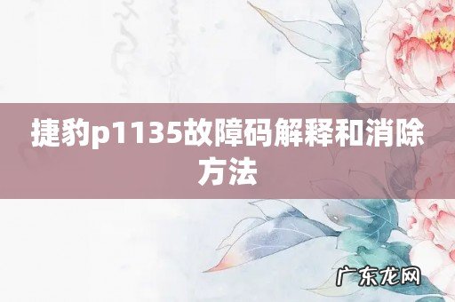 捷豹p1135故障码解释和消除方法
