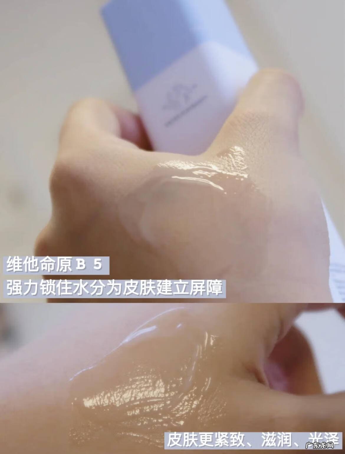 kenzo英文怎么读 kenzoki怎么读