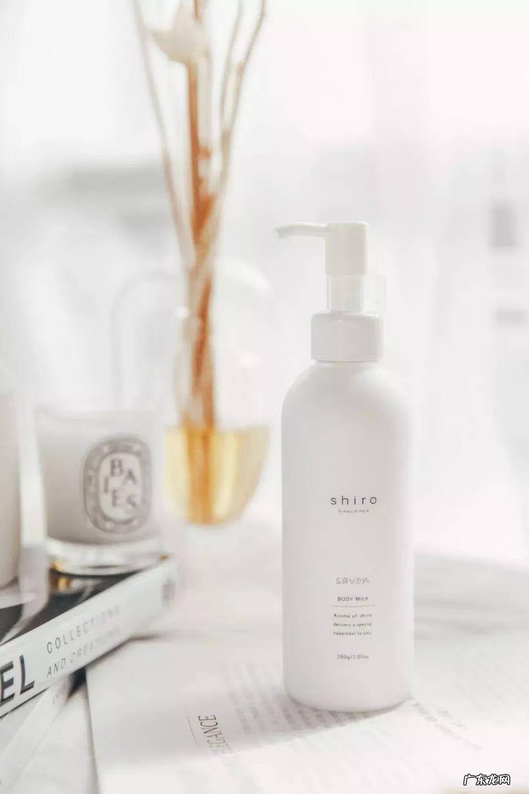 kenzo英文怎么读 kenzoki怎么读