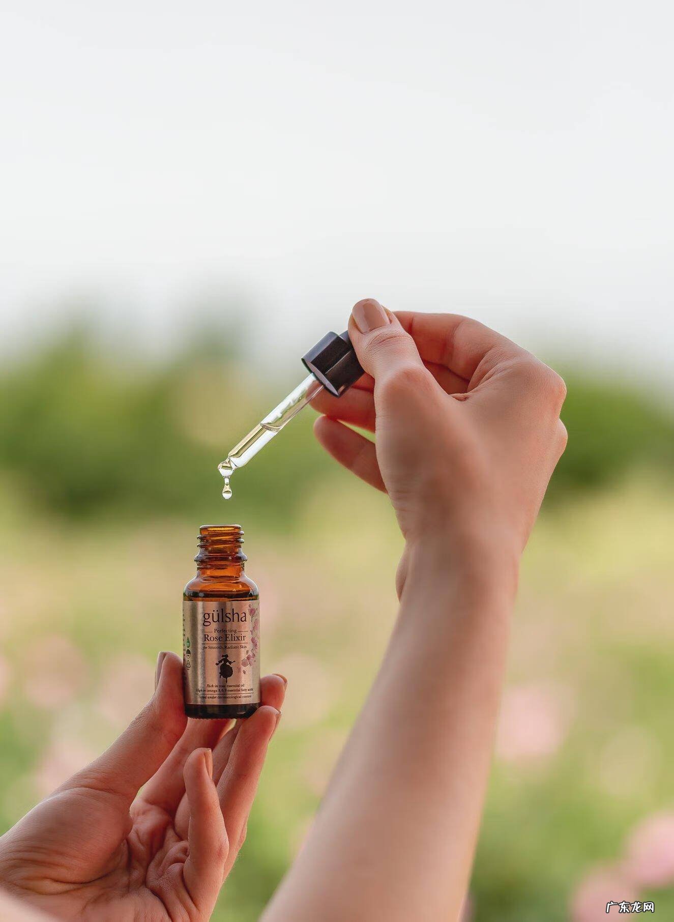 kenzo英文怎么读 kenzoki怎么读