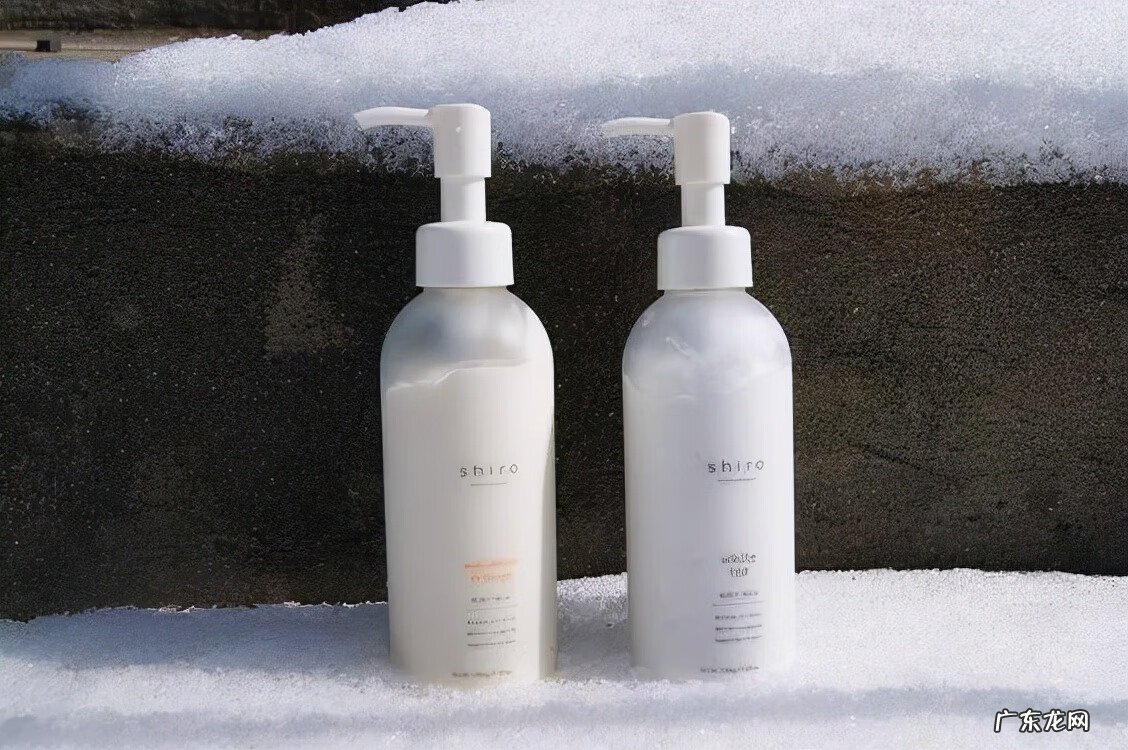 kenzo英文怎么读 kenzoki怎么读