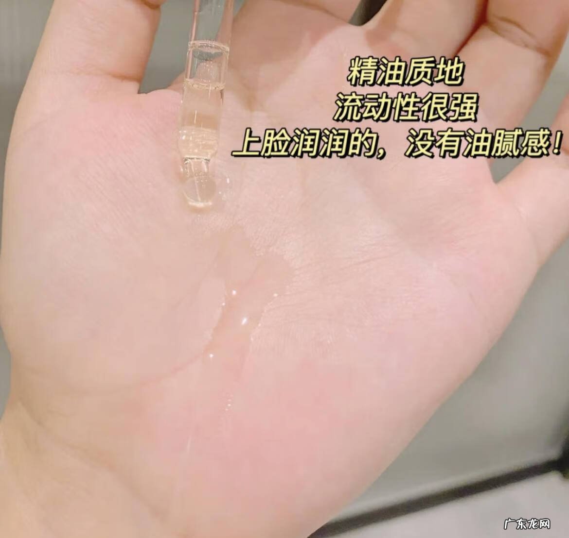 kenzo英文怎么读 kenzoki怎么读