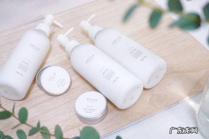 kenzo英文怎么读 kenzoki怎么读